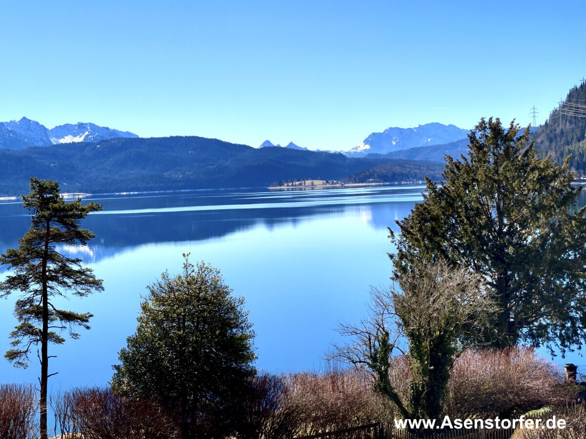 Holiday apartment holiday-apartements Haus Seewinkel - Outdoor photo 3