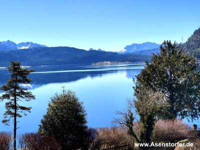 Holiday apartment holiday-apartements Haus Seewinkel - Outdoor photo 3