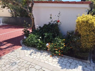 Apartment One bedroom apartment with terrace Medulin A-24576-a - Outdoor photo 13