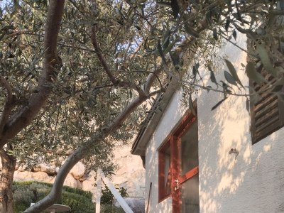 Apartment Studio flat with terrace and sea view Drage, Biograd AS-24709-a - Outdoor photo 2