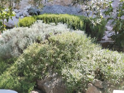 Apartment Studio flat with terrace and sea view Drage, Biograd AS-24709-a - Outdoor photo 3