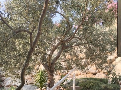 Apartment Studio flat with terrace and sea view Drage, Biograd AS-24709-a - Outdoor photo 4