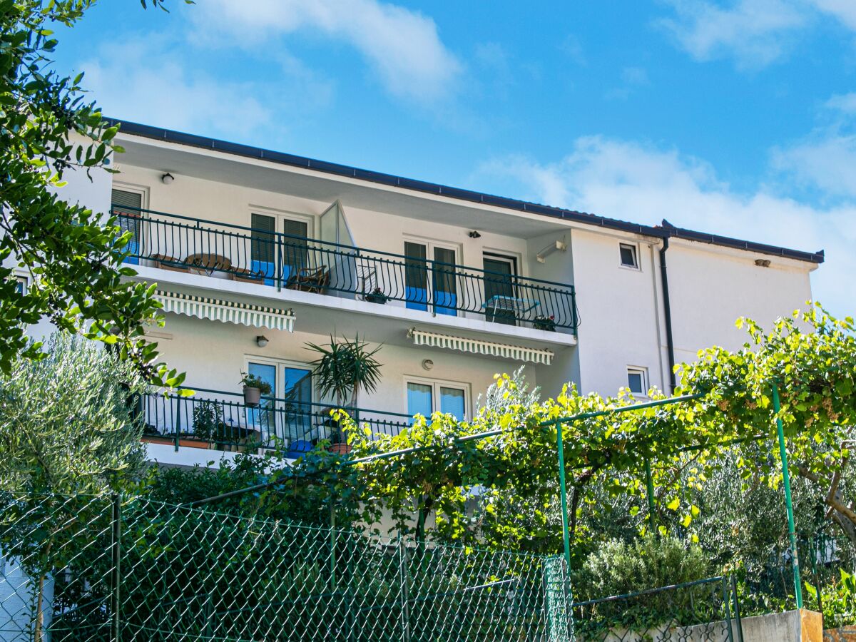 Apartment Apartments by the sea Gradac, Makarska - 20041 - Apartments by the sea Gradac, Makarska - 20041