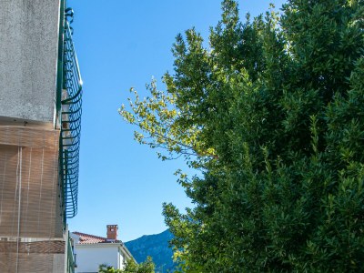 Apartment Apartments by the sea Gradac, Makarska - 20041 - Apartments by the sea Gradac, Makarska - 20041 - Outdoor photo 19