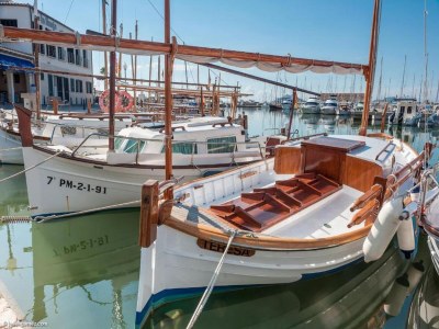 Apartment House in Pollensa near Beaches & Golf Club - Environment photo 18