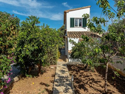 Villa Villa in Pollensa mit privatem Pool - Outdoor photo 7