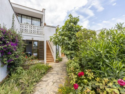 Apartment Wohnung in Port de Pollença nahe Llenaire Strand - Features photo 33