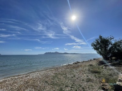 Apartment Wohnung in Port de Pollença nahe Llenaire Strand - Environment photo 39
