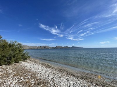 Apartment Wohnung in Port de Pollença nahe Llenaire Strand - Environment photo 40