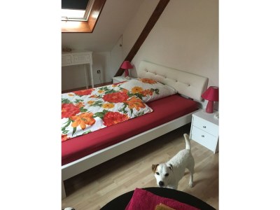 Holiday apartment Adams holiday home "Galerie Juliette" F-Sarreguemines - Features photo 10