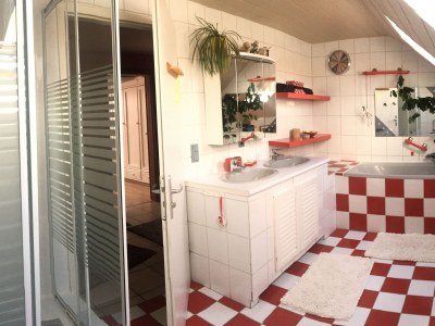 Holiday apartment Adams holiday home "Galerie Juliette" F-Sarreguemines - Features photo 12