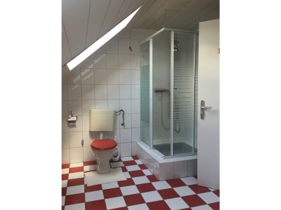 Holiday apartment Adams holiday home "Galerie Juliette" F-Sarreguemines - Features photo 13