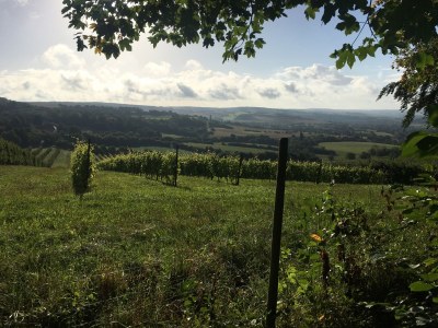 Holiday apartment Adams holiday home "Galerie Juliette" F-Sarreguemines - Environment photo 17