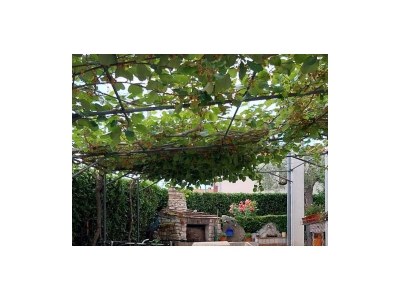 Apartment One bedroom apartment with balcony Rovinj A-24730-a - Outdoor photo 7