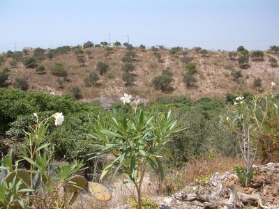 Holiday house La Loma - Outdoor photo 14