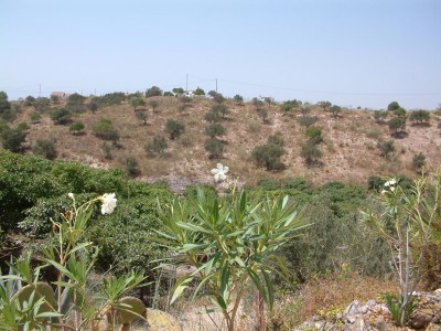 Holiday house La Loma - Environment photo 24