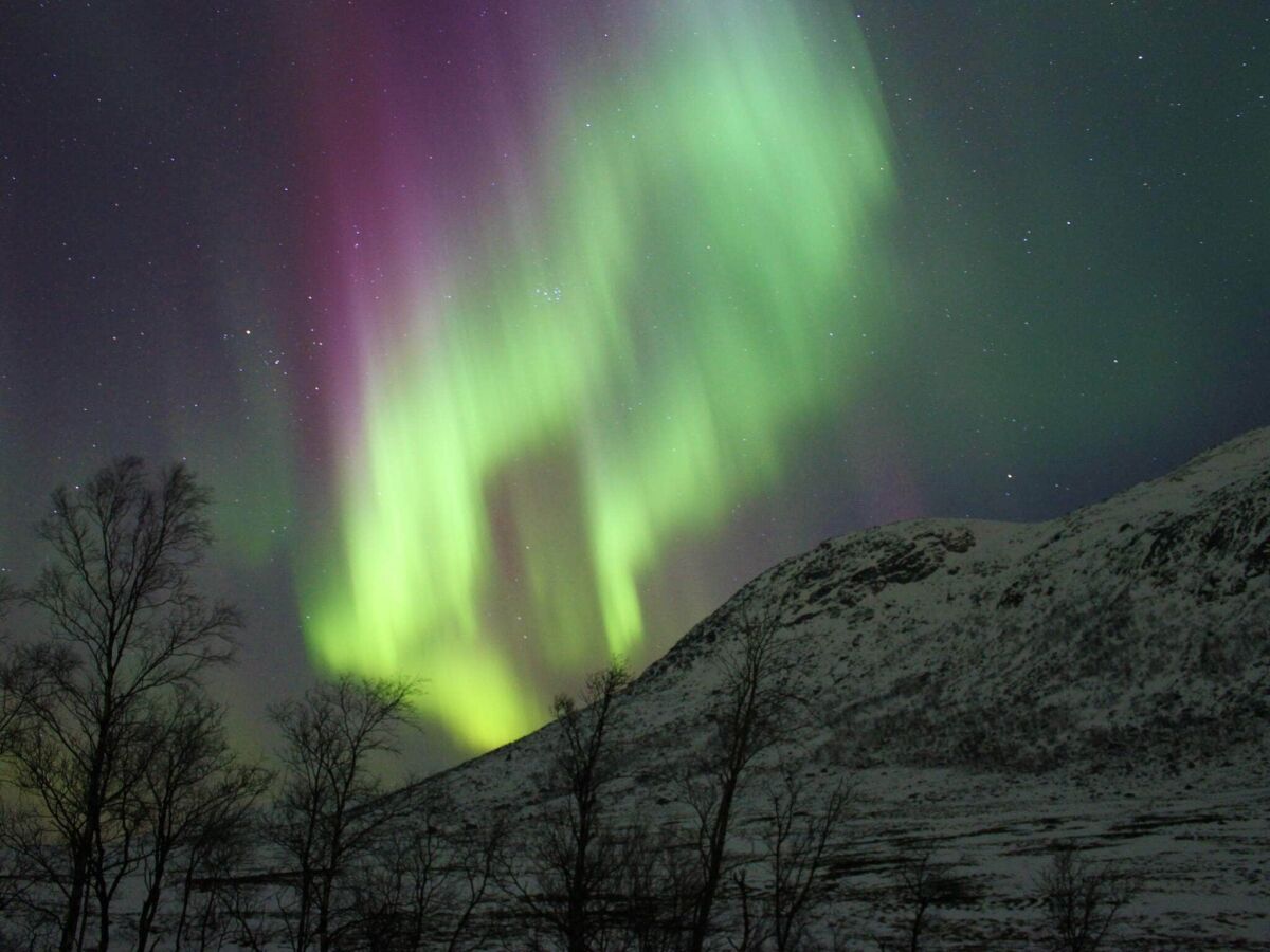 Apartment 8 person holiday home in Mølnarodden - Outdoor photo 3