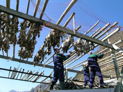 Apartment 8 person holiday home in Mølnarodden - Outdoor photo 4