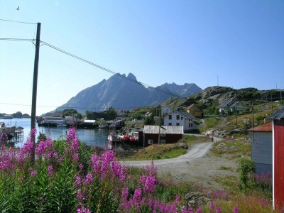 Apartment 8 person holiday home in Mølnarodden - Outdoor photo 14