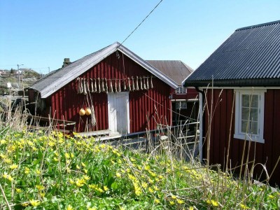 Apartment 8 person holiday home in Mølnarodden - Outdoor photo 18