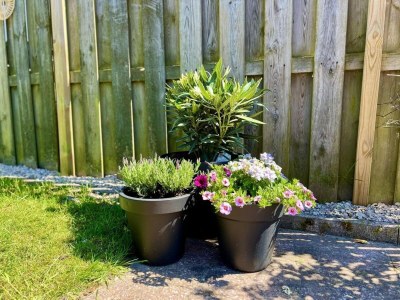Holiday house Bungalow in park with fenced garden - Outdoor photo 33