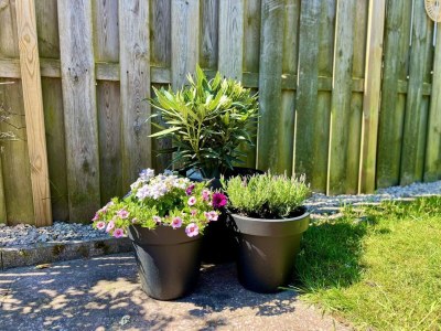 Holiday house Bungalow in park with fenced garden - Outdoor photo 34