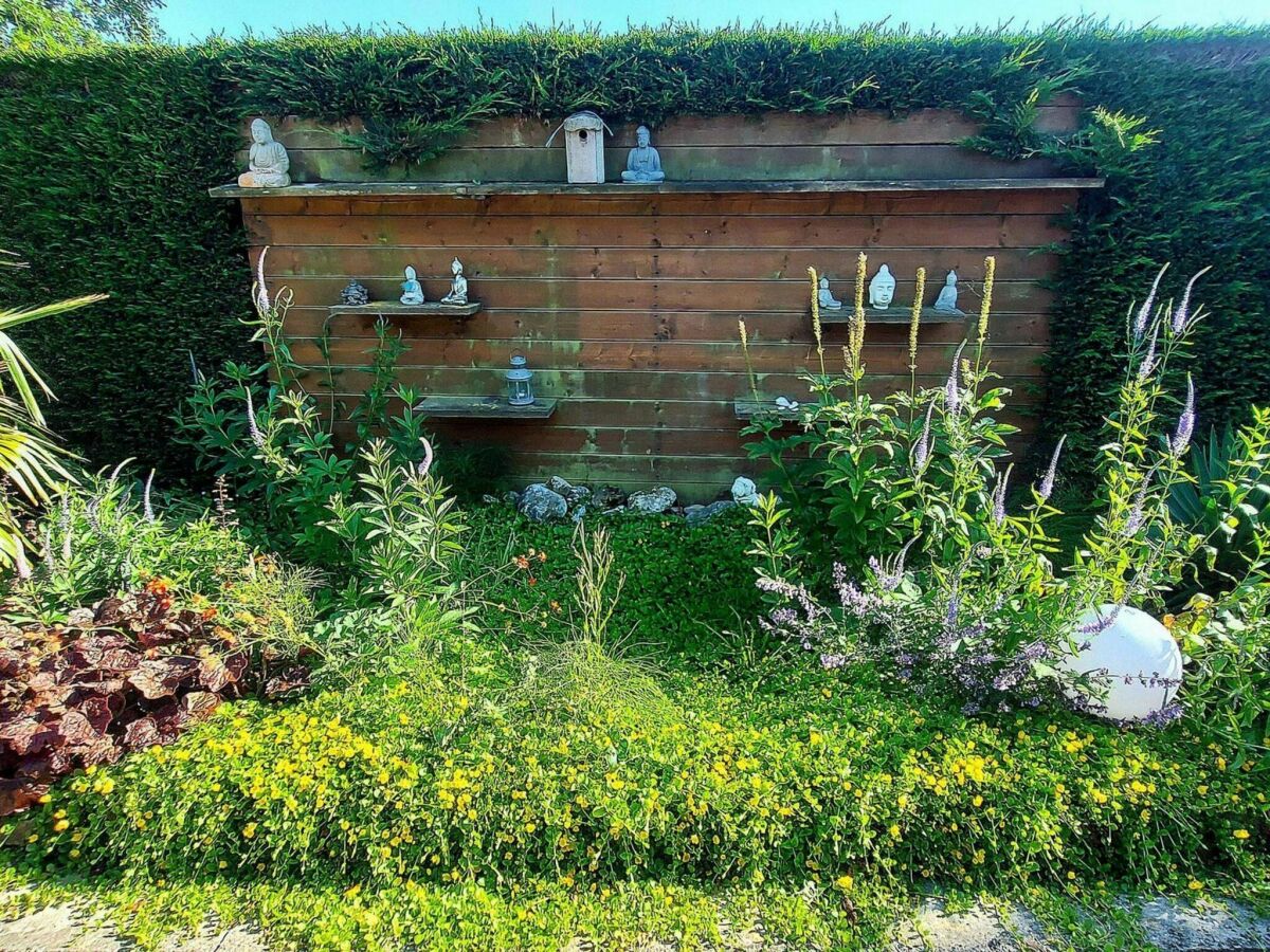 Holiday house Holiday retreat in Sint Maartenszee - Outdoor photo 4