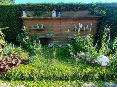 Holiday house Holiday retreat in Sint Maartenszee - Outdoor photo 4