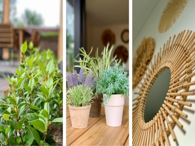 Holiday house Pleasant chalet with veranda - Outdoor photo 25