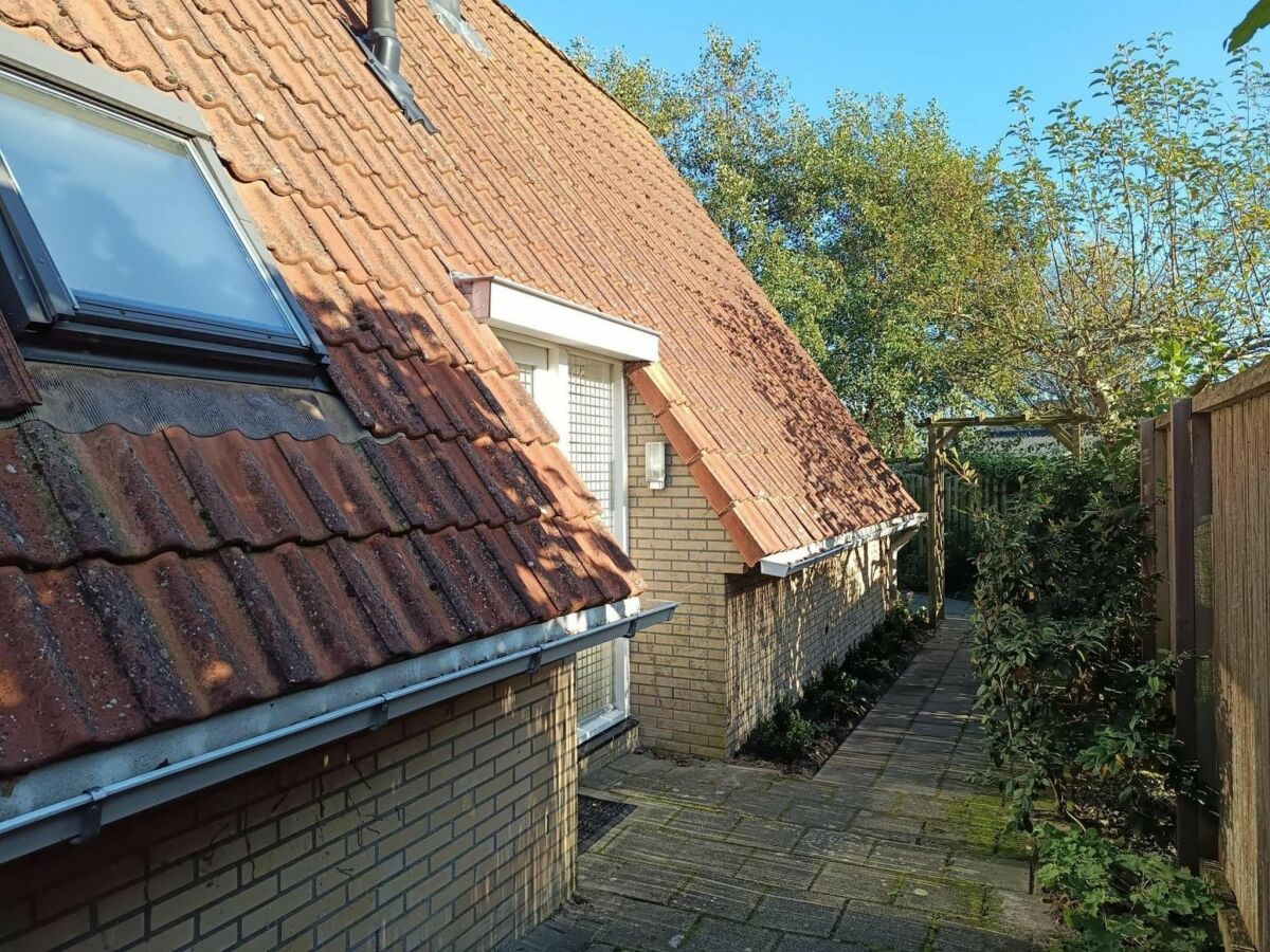 Holiday house Gemütliches Ferienhaus in Sint Maartenszee - Outdoor photo 3