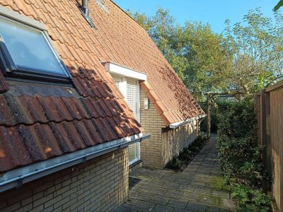 Holiday house Gemütliches Ferienhaus in Sint Maartenszee - Outdoor photo 3