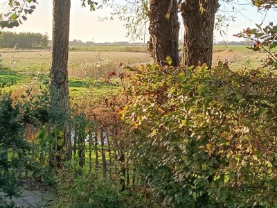 Holiday house Gemütliches Ferienhaus in Sint Maartenszee - Outdoor photo 10