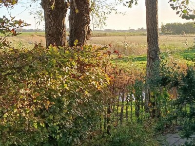 Holiday house Gemütliches Ferienhaus in Sint Maartenszee - Features photo 27