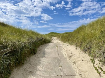 Holiday house Moderner Bungalow in Strand- und Waldnähe - Environment photo 15