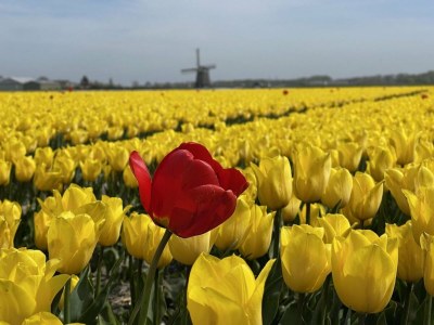 Holiday house Moderner Bungalow in Strand- und Waldnähe - Outdoor photo 21