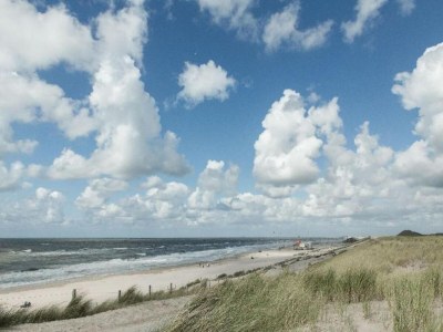 Holiday house Chalet in Sint Maartenszee near Sandy Beach - Environment photo 20