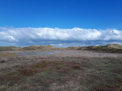 Holiday house Chalet in Sint Maartenszee near Sandy Beach - Environment photo 34