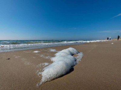 Holiday house Chalet in Sint Maartenszee near Sandy Beach - Environment photo 35
