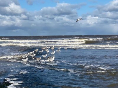 Holiday house Bungalow Sint Maartenszee near Sandy Beach - Environment photo 16