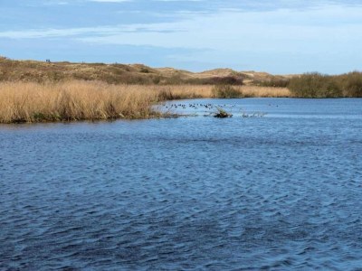 Holiday house Bungalow Sint Maartenszee near Sandy Beach - Environment photo 32