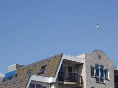 Holiday house Wohnung mit Dünenblick von Petten - Outdoor photo 3