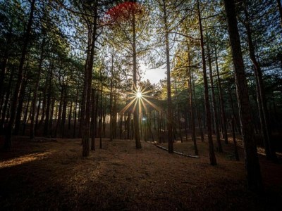 Holiday house Wohnung mit Dünenblick von Petten - Environment photo 17