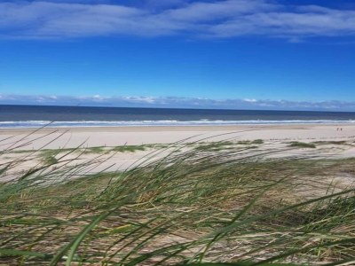 Holiday house Wohnung mit Dünenblick von Petten - Environment photo 18