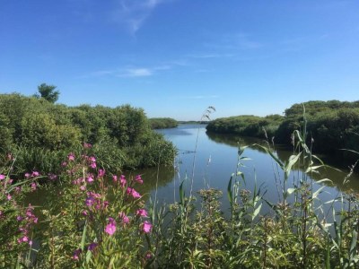 Holiday house Wohnung mit Dünenblick von Petten - Environment photo 34