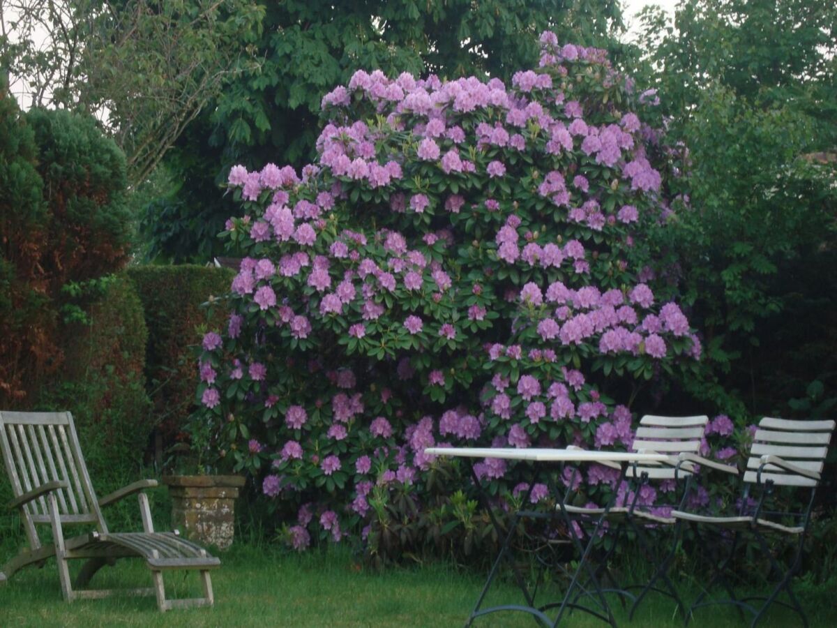 Holiday house Modern bungalow close to beach with views - Outdoor photo 4