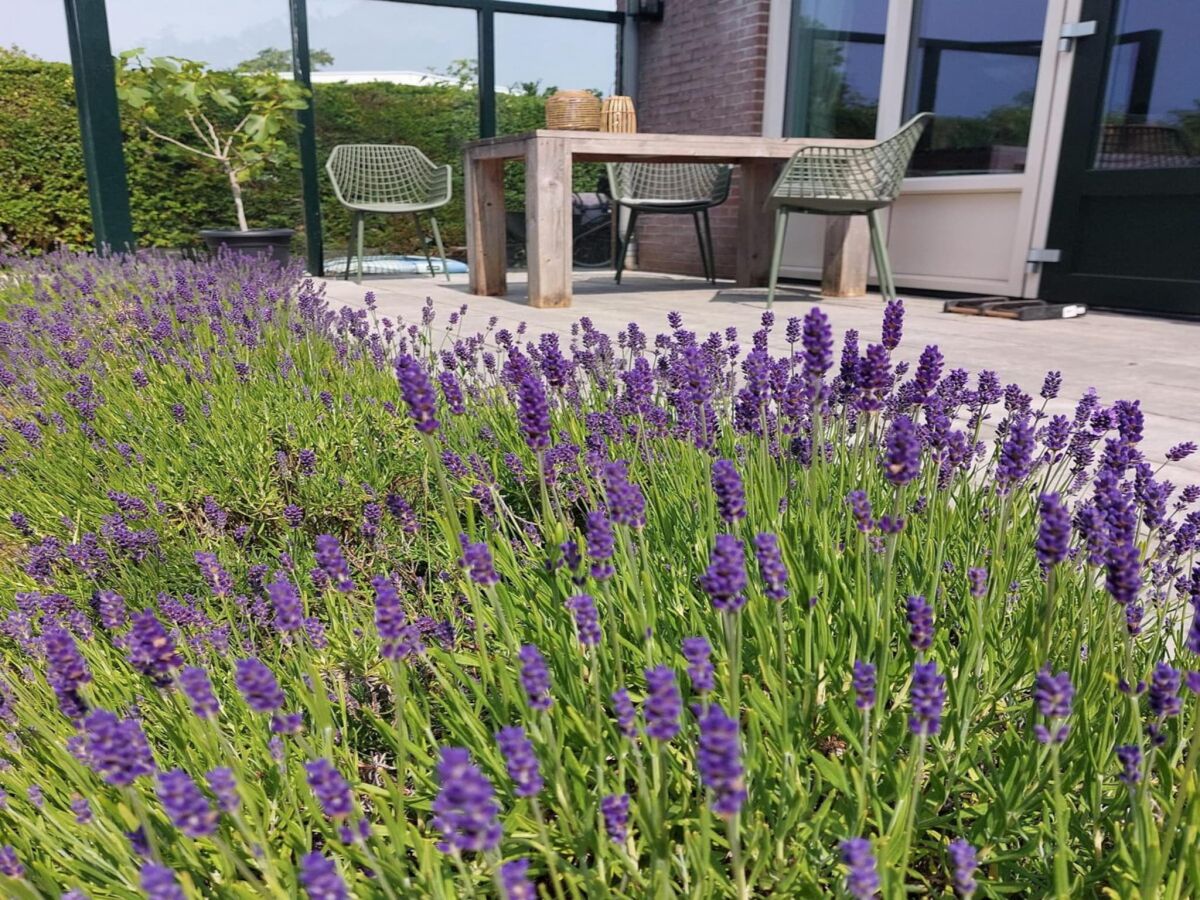 Holiday house Modern bungalow close to beach with views - Outdoor photo 5