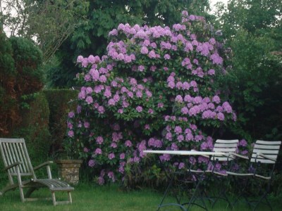 Holiday house Modern bungalow close to beach with views - Outdoor photo 4