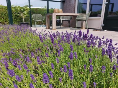 Holiday house Modern bungalow close to beach with views - Outdoor photo 5