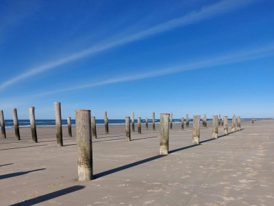 Holiday house Modern bungalow close to beach with views - Environment photo 20