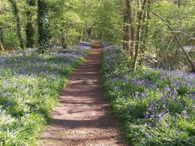 Holiday house Modern bungalow close to beach with views - Environment photo 21